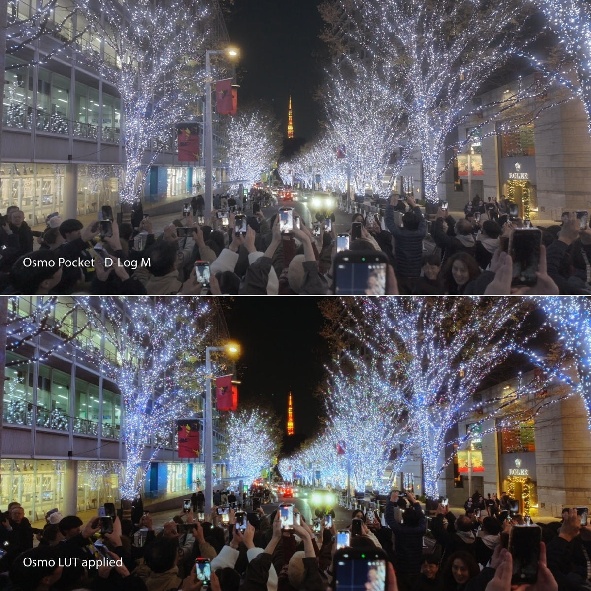 DJI Osmo Pocket D-Log M before and after LUT comparison on a Tokyo night street