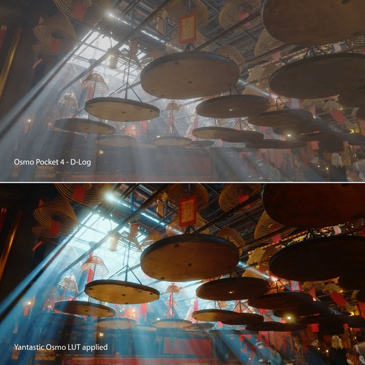 Osmo Cinematic LUTs