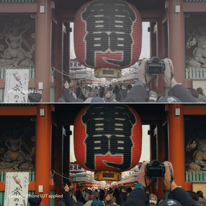 iPhone Apple Log LUTs