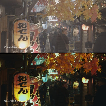 iPhone Apple Log LUTs