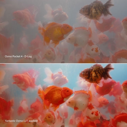 Osmo Cinematic LUTs