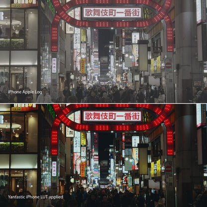 iPhone Apple Log LUTs