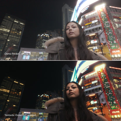 Osmo D-Log M LUTs