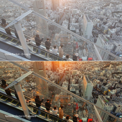 Osmo D-Log M LUTs