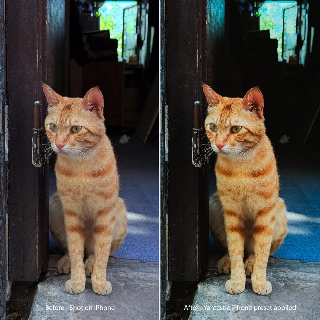 iPhone Everyday Lightroom Presets
