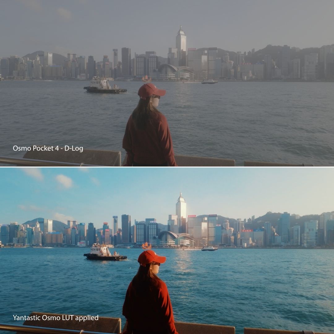 Osmo Cinematic LUTs