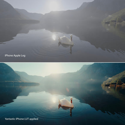 Two images of a swan on a lake with different color grading effects applied.