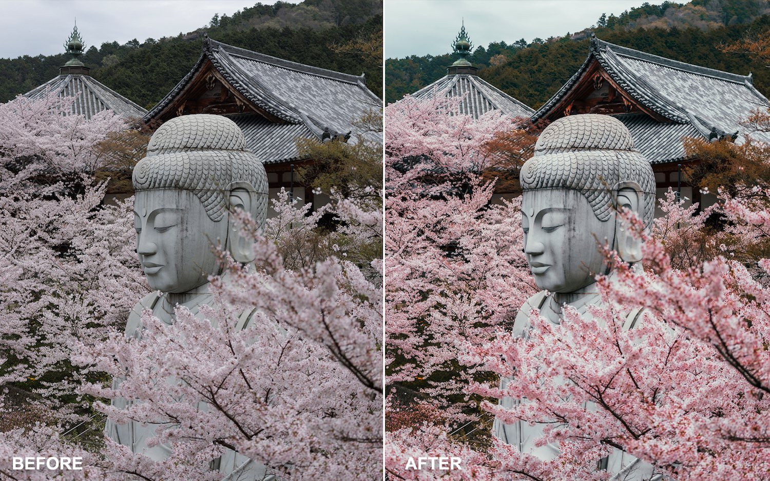 Landscape & Nature Photography Lightroom Presets - Yantastic Presets