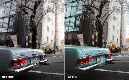 The Master Collection Lightroom Presets - Yantastic Presets