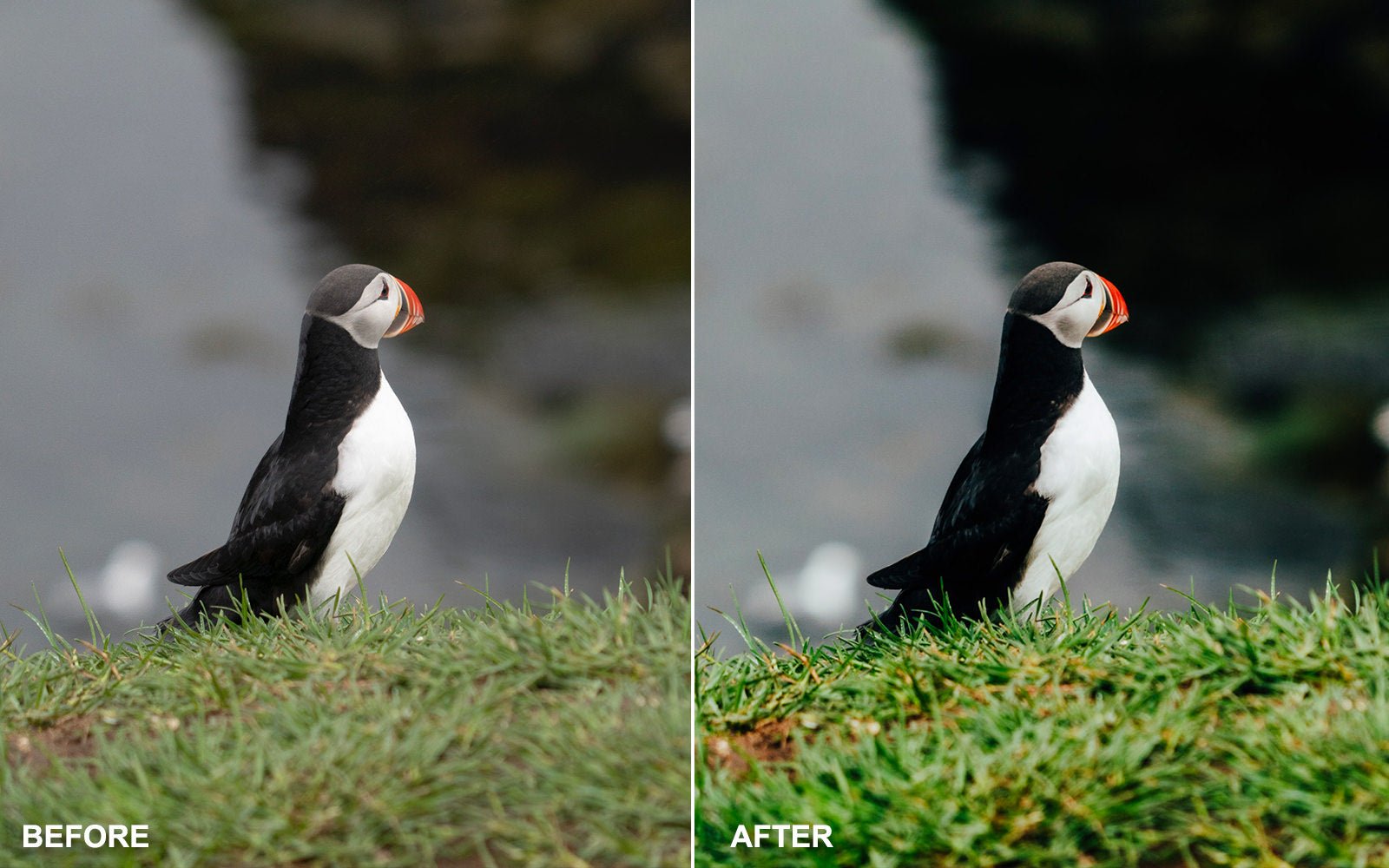 Landscape & Nature Photography Lightroom Presets - Yantastic Presets