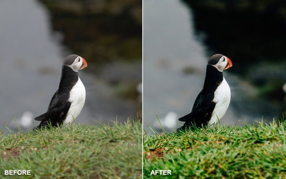 Landscape & Nature Photography Lightroom Presets - Yantastic Presets